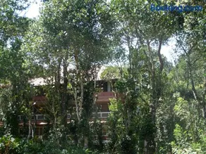 BASIS Mountain House - Image 2