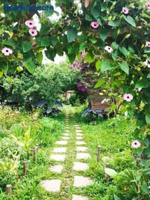 Nhà Để Chill Homestay - Image 1