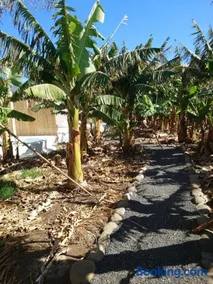 Finca Don Victor - Image 4