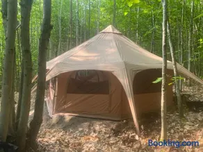 Forest Yurt - Image 3