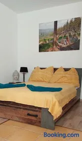 Wald-Panorama-Zimmer - Image 2