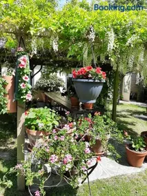 BedandBreakfast Casa Martina - Image 3