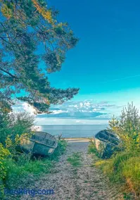 Beautiful Tinyhouse near the Beach - Image 1
