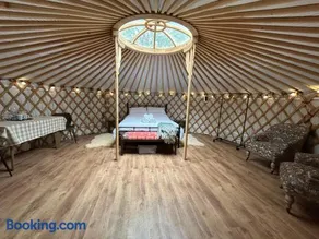 Jimmy's Yurt - Image 4