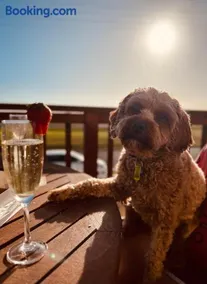 Stunning Waterfront only 10 minutes to Phillip Island - FREE EV UNIT 7kW for electric cars - pet friendly, fireplace FREE WIFI wine & chocolates - Image 4
