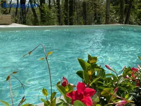 Villa La Casa Bianca - Image 2