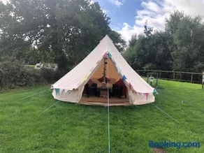 Glamping with Alpacas! - Alton Towers - Image 1
