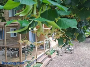 Sous les tilleuls - Image 1