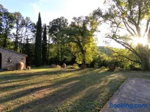 Il Bosco del Lebbio - Image 3