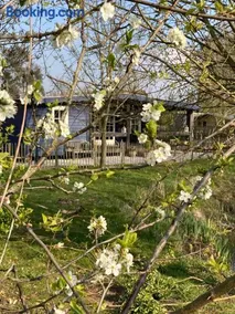 De Weide Blick - Image 2