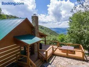 Silverleaf - Image 1