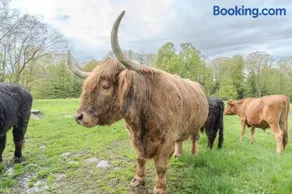 Cozy Heritage Suite for Two - With Highland Cattle - Image 2
