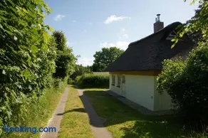 Kate unter Reet im Grünen - Image 3
