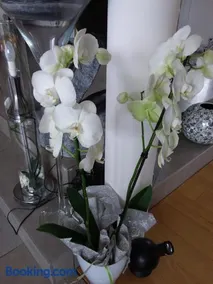 L'Orchidée - Image 1