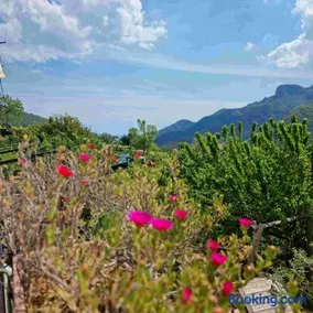 CASA VACANZE - Anna Holiday Home - Image 2