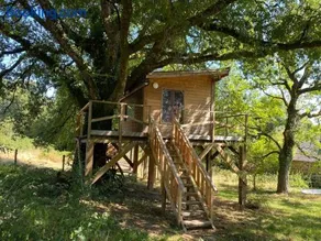 Cabane dans un chêne tricentenaire - Image 2