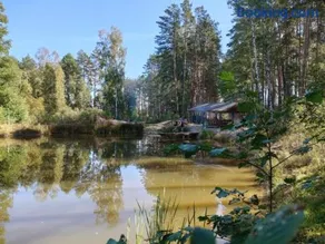 Domek w lesie - Image 2