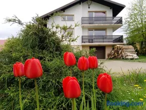 Agrowczasy - Image 4