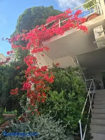 Apartments iris - Image 2