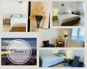 Le cocon familial - Image 3