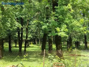 House in the forest - Image 2
