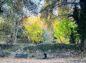 El Montoro - Image 5