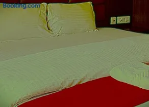 Hotel Ghumog Stay In Kasauli - Image 4