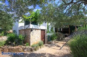 Apartment Lavender - Image 1