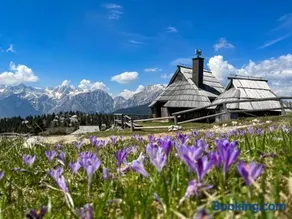 CHALET KOCNA - I FEEL ALPS - Image 4