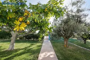 Villa Marchetti - Image 2