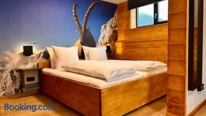 Alpen Lodge Riezlern - Image 3