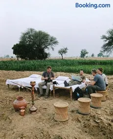Joon Farm - Image 3