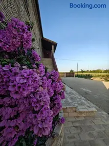 Sentina al mare - Image 2