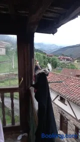 La casa de los gatos - Image 2