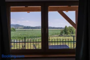 Apartmány Vinařství Šebesta - Image 1