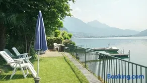 Le palme Antonella - Image 4