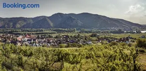 Wachau Supperer - Image 2