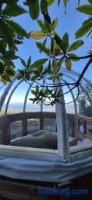 Cocoon Village - Image 2