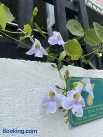 Nhà nghỉ Ngọc Phượng - Image 2