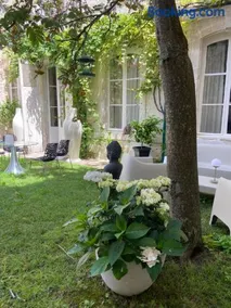 Vieille rose - Image 3