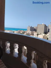 الاسكندرية ابو تلات - Image 3