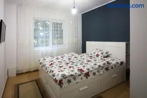 Central Comfort Zone - Image 4