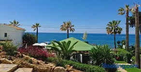 Flores Del Mar - Image 1