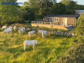 Meadowview Cottage - Image 5