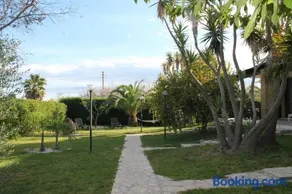 Vecchio Ulivo - Image 2