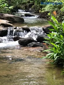 Achinthya Nature Resort - Image 4