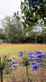 Campo Los Teritos - Image 4