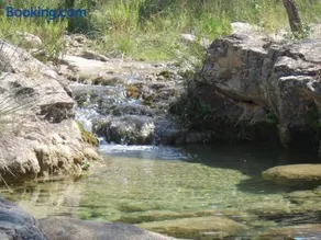 Ca la Viola - Image 4