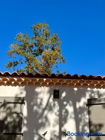 Casa Bohemian - Image 2