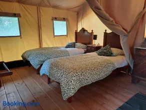 Le lodge de La Boissière - Image 2